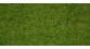 NOCH 07082 Herbe de champs, vert clair